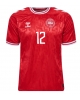 Danmark Kasper Dolberg #12 Hemmatröja EM 2024 Kortärmad