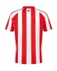 Sunderland Hemmatröja 2026-27 Kortärmad